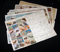 Knapp Electric Corp. Electric Questioner No. 325